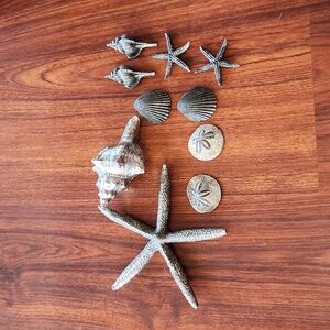 (10) Decorative Shells + Starfishes